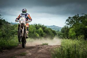 Five Stars: January 2016