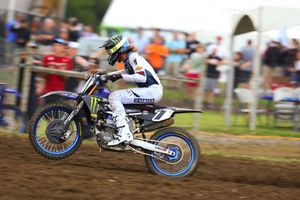 Internal bruising revealed by Plessinger after Unadilla