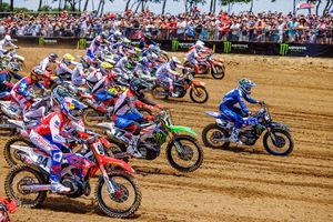 Input: MXoN expectations