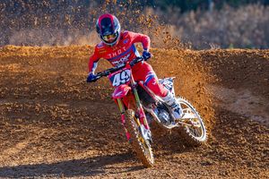 Phoenix Racing Honda re-signs Park, Towers and Ferry